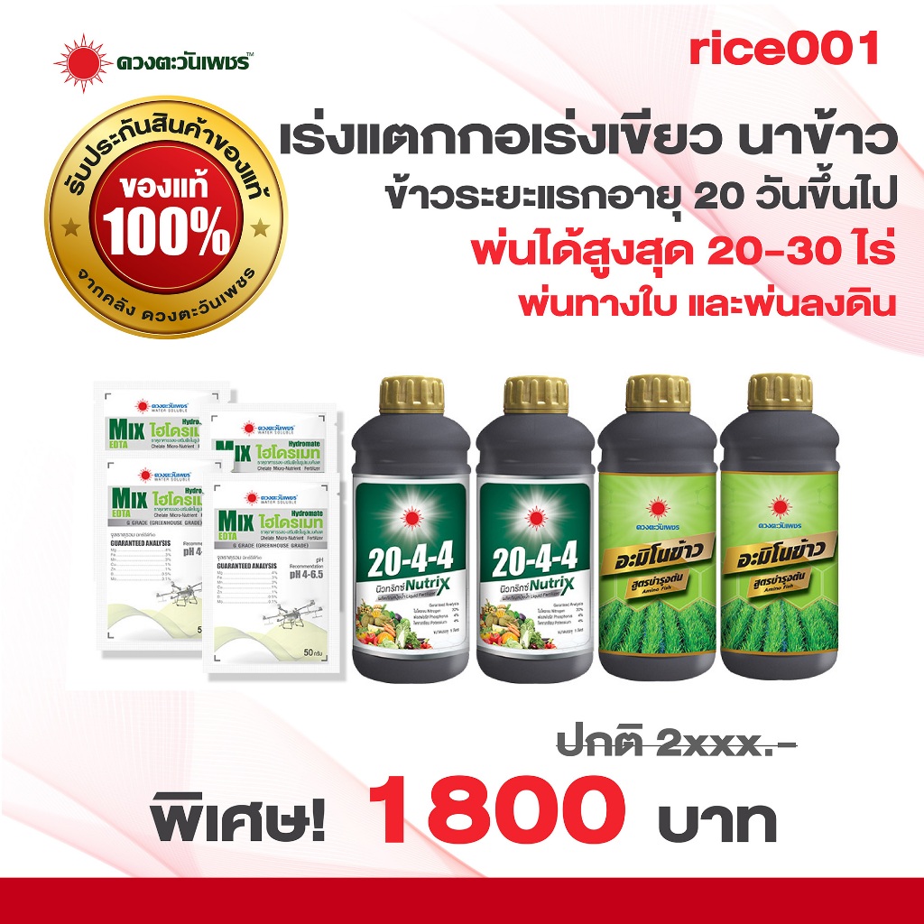 ชุด Rice001 เร่งแตกกอ ใบเขียว ใบใหญ่ ในนาข้าว สำหรับพ่นทางใบใช้ได้ 20-30 ไร่