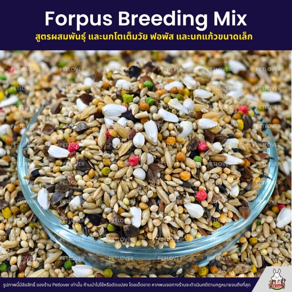 Petlover Forpus Breeding อาหารนกแก้ว ฟอพัส สูตรโตเต็มวัย และเพาะพันธุ์ (แบ่งขาย 500G / 1KG) รูปที่ 2