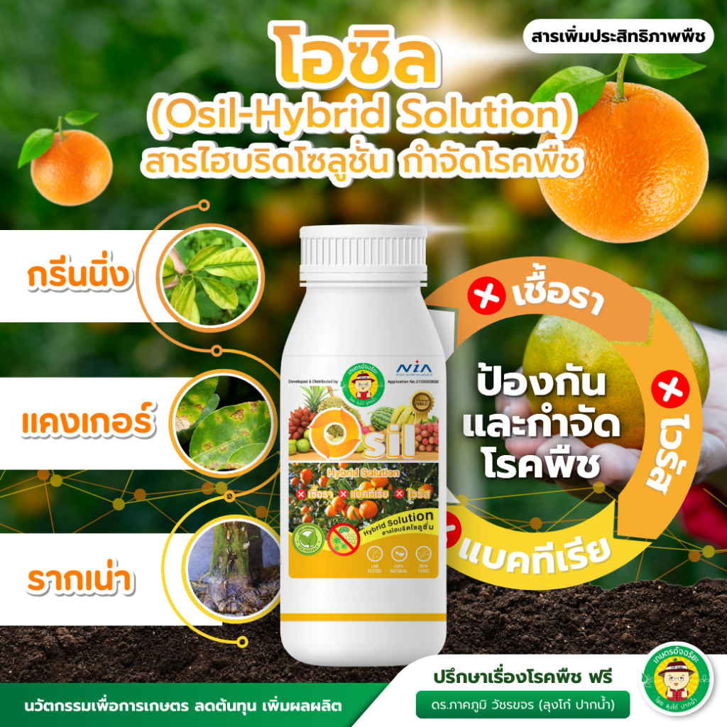 โอซิล สารไฮบริดกำจัดโรคพืช (Osil)
