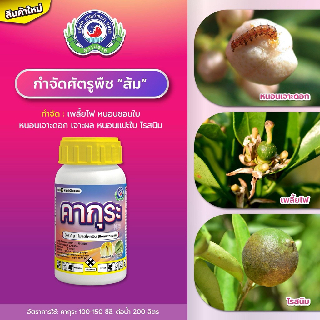 ขนาด 250 ซีซี คากุระ+ขุนพล สินค้าพิเศษ ได้ 2 ชิ้น เทพวัฒนา กำจัดเพลี้ยไฟ เพลี้ยจั่กจั่น หนอน ยาเย็นไม่ทำลายเกสรดอก - รูปที่ 3