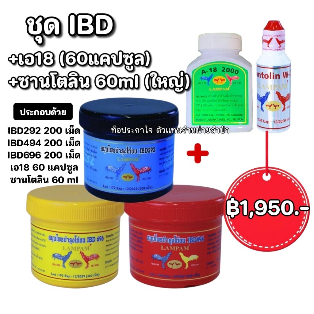 LAMPAM ลำปำ ชุดไอบีดี+เอ18(60แคปซูล)+ซานโตลิน(ใหญ่)