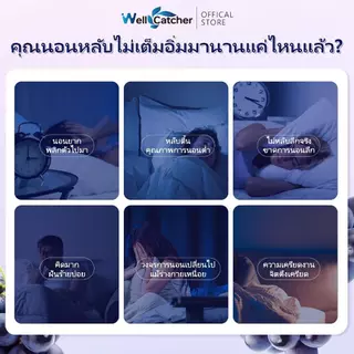 Wellcatcher Gaba Sleep Gummies Non-GMO Gluten-Free ช่วยผ่อนคลาย นอนหลับดีขึ้น 60 เม็ด