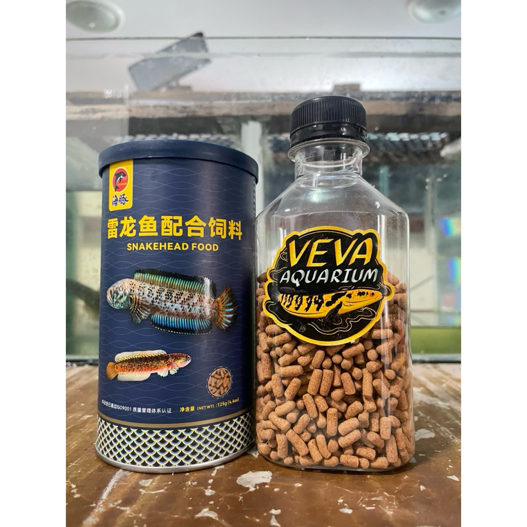 อาหารเร่งสี เร่งครีบ เร่งไฮฟิน ปลาช่อน และปลากินเนื้อ