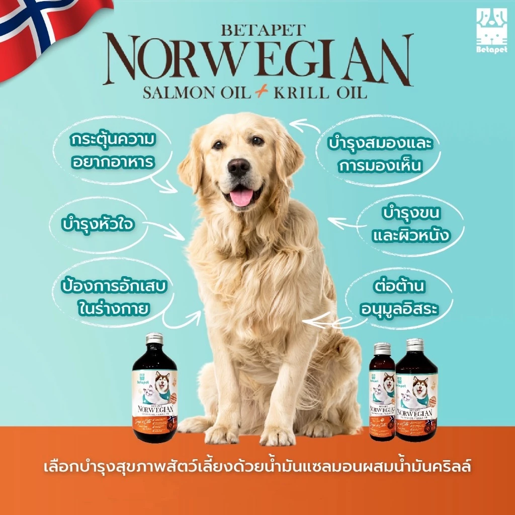 ( ‼️ ส่งไวมาก ‼️ ) BETAPET น้ำมันปลาแซลมอนแท้ 100% Premium จาก Norway สำหรับสุนัขและแมว บำรุงขนผิว ช่วยให้เจริญอาหาร thumbnail 6
