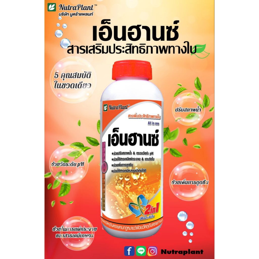 เอ็นฮานซ์ สารเสริมประสิทธิภาพทางใบ ปรับPHน้ำ ช่วยให้ยาเข้ากันได้ดี ยึดจับผิวใบ แผ่กระจาย และช่วยลดคราบยาบนผิวผักและผลไม้
