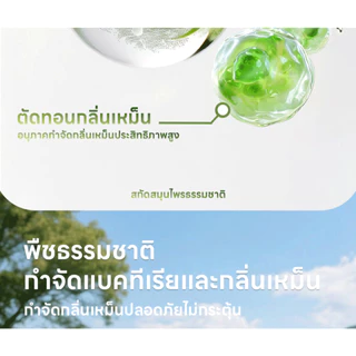 Ketzuzu สเปรย์ดับกลิ่นฉี่แมว รุ่นปรับปรุง สเปรย์ดับกลิ่นสัตว์เลี้ยง ดับกลิ่นทรายแมว
