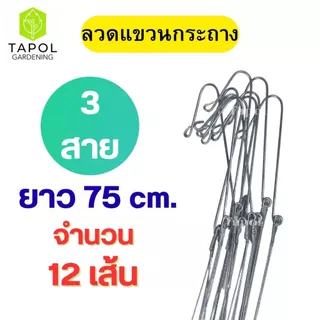 ลวดแขวนกระถางต้นไม้ 3 สาย มีหลายขนาด ลวดอย่างดีแข็งแรงทนทาน เหมาะสำหรับแขวนกระถาง แขวนกระเช้า