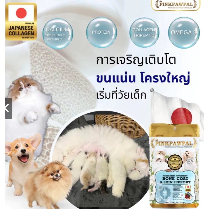 PINKPAWPAL ผงโปรตีนเสริมภูมิ บำรุงขน เพิ่มน้ำหนักหมาแมว ขนาด 10-20g thumbnail 7