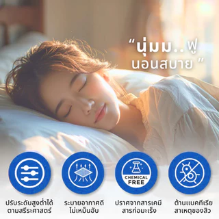 หมอนหนุน หมอนโรงแรม5 ดาว แก้ปวดคอ ลดการนอนกรน นอนหนุนเพื่อสุขภาพ นุ่ม หลับสบาย 48x74 ซม