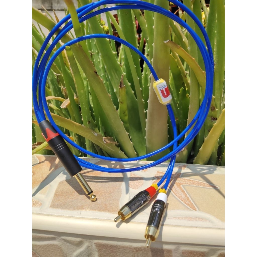 phone ster to rca 2 + (2 m)