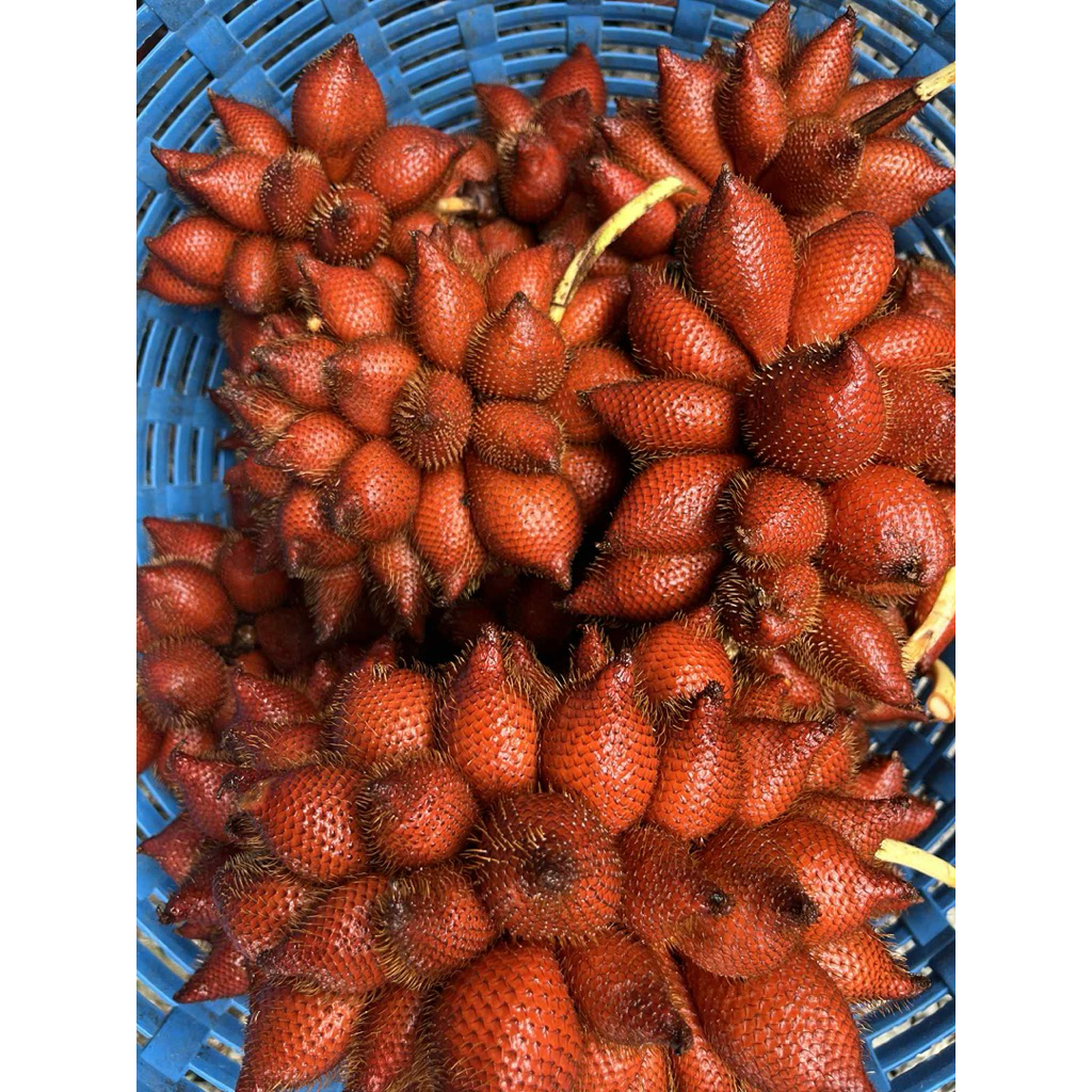 สละสุมาลี 2kg สดๆหวานฉ่ำ