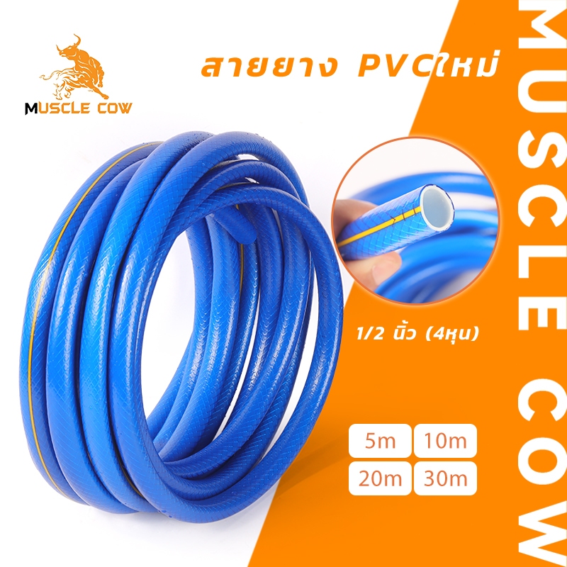 MUSCLE COW สายยาง PVC สีฟ้า 1/2 นิ้ว แข็งแรง ทนทาน ยาว 5m/10m/20m/30m สำหรับสวนและงานบ้าน