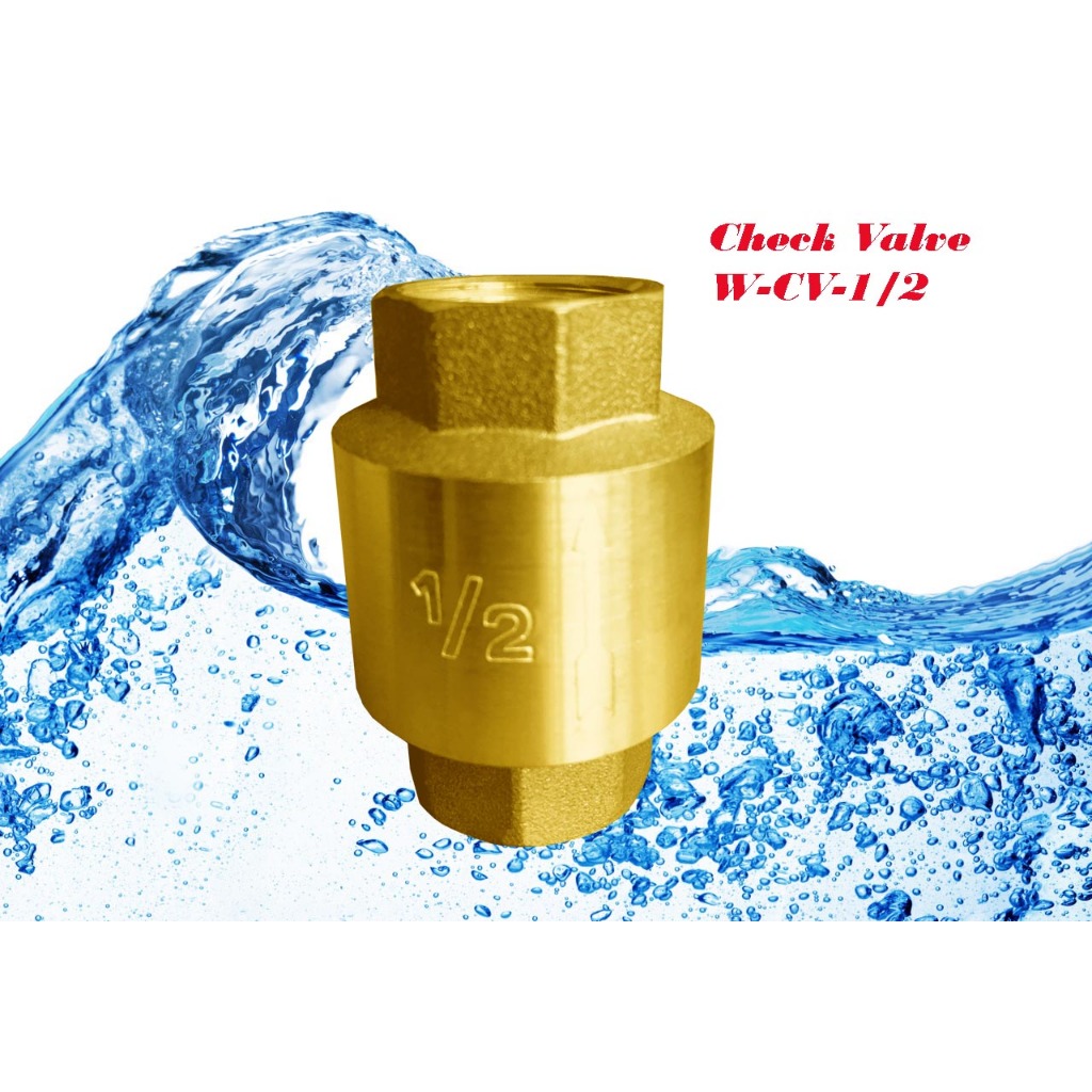 เช็ควาล์ว เช็ควาล์วสปริง เช็ควาล์วทองเหลือง 6 หุน 3/4"   4 หุน 1/2"  Brass Spring Check Valve W-CV-3