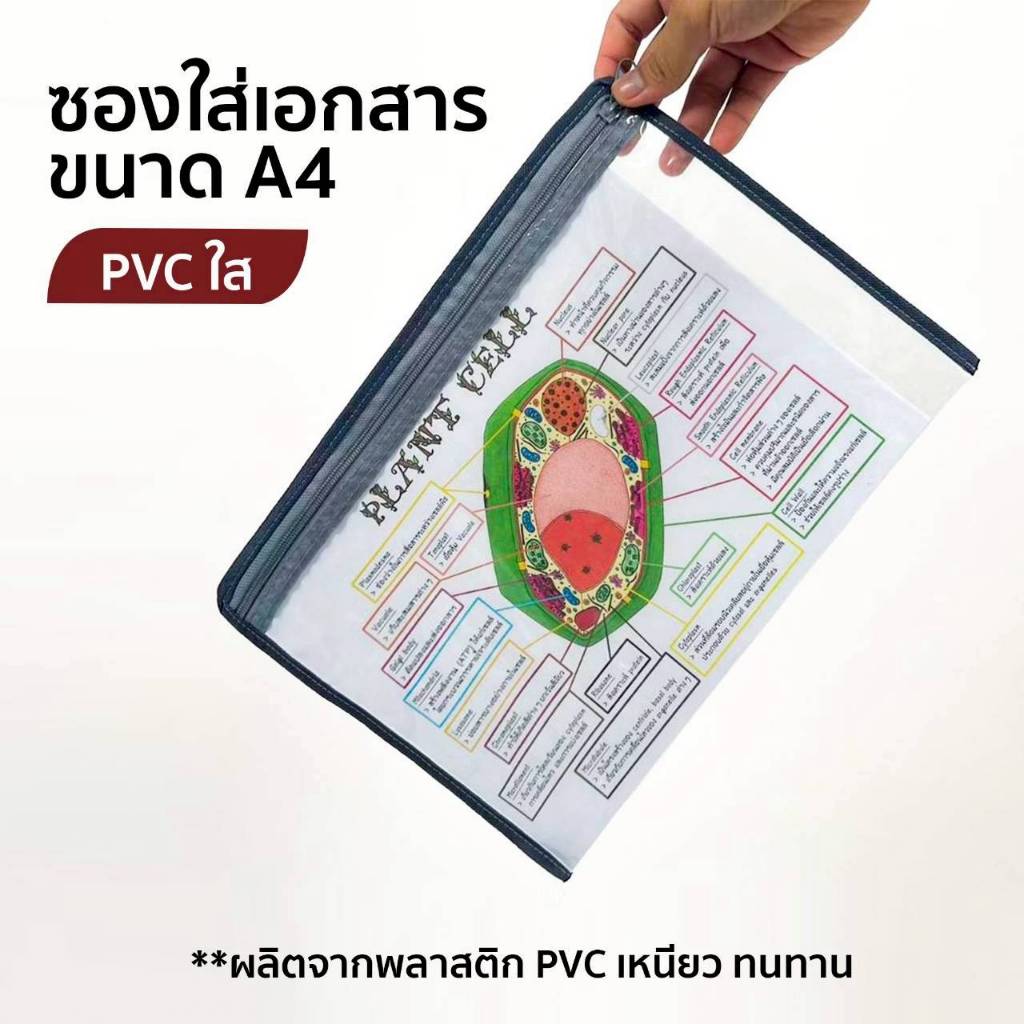 ซองใส่เอกสารขนาด A4 ซองใส่ชีทเรียน ซองใส่เอกสารสำนักงาน