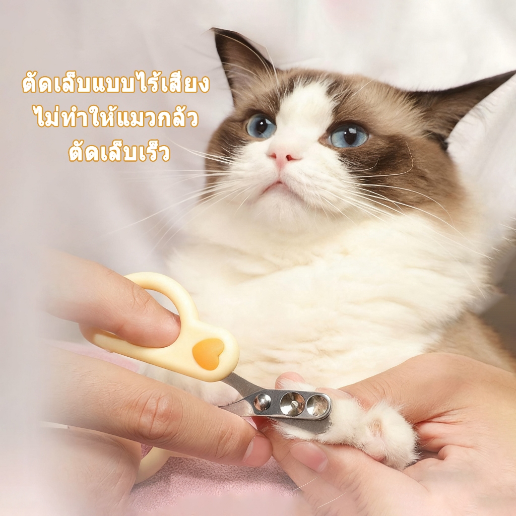 รูปภาพ 2