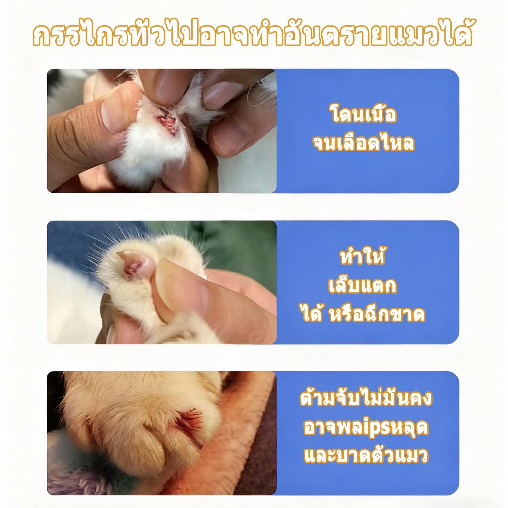 รูปภาพ 4