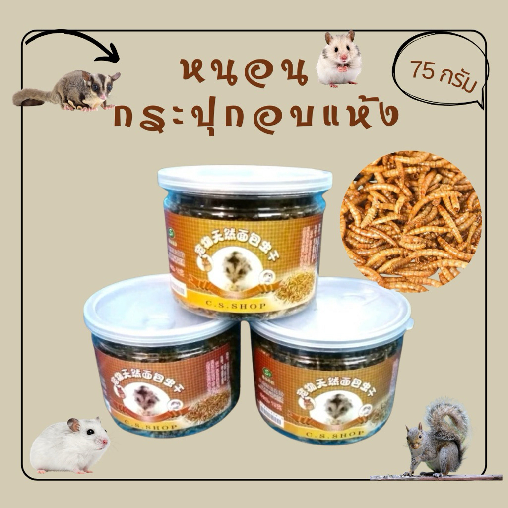 หนอนนก อบแห้งสำหรับสัตว์เลี้ยง แบบกระปุกcs ขนาด 75กรัม