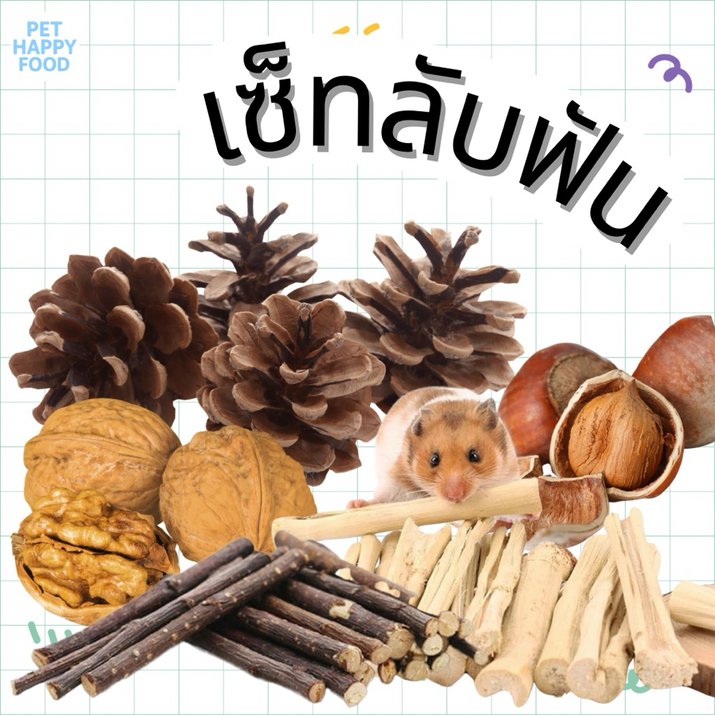 เซ็ทลับฟัน สำหรับสัตว์ฟันแทะ