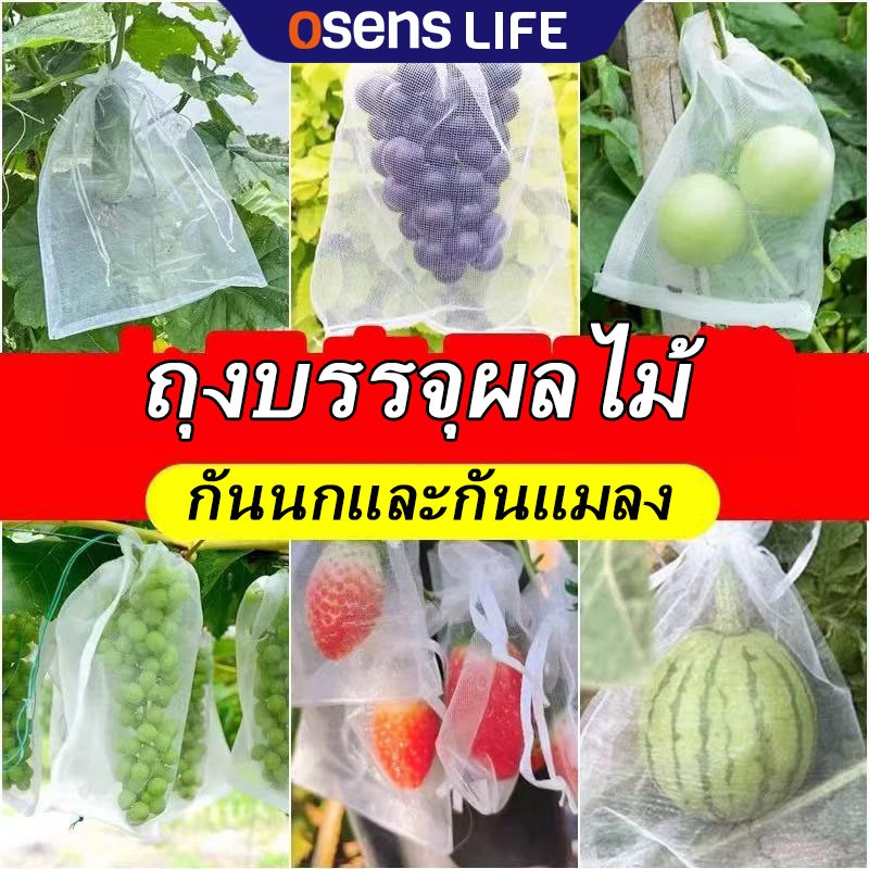 ถุงบรรจุผลไม้ 50/100/200pcs ชิ้น กันนกและศัตรูพืช ถุงห่อผลไม้ ถุงห่อมะม่วง ใช้ห่อกันแมลง เพลี้ย