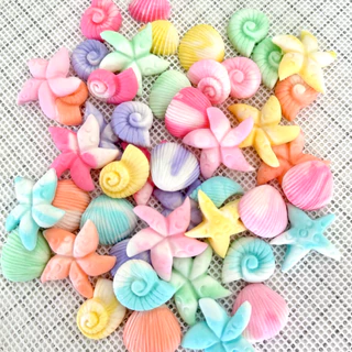 New!! Madame Sugar:น้ำตาลกัมเพส “หอยรวม ลายหินอ่อน” 🐚
