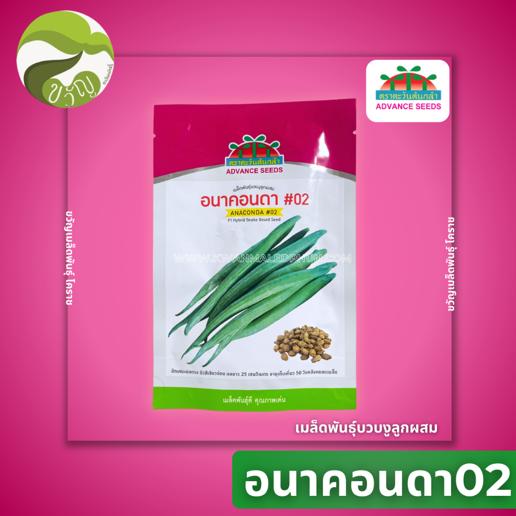 เมล็ดพันธุ์บวบงูลูกผสม บวบงู  อนาคอนด้า02 ลอตใหม่