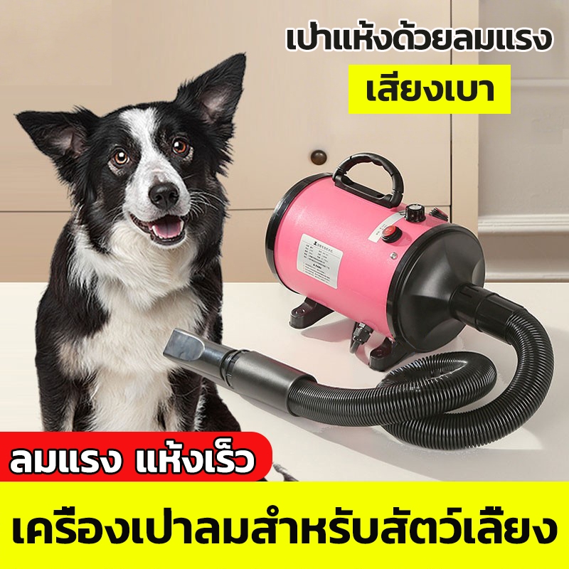ไดร์เป่าขน 2800W ไดร์เป่าขนหมา ไดร์ขนสุนัข ไดร์เป่าขนแมว ไดร์เป่าขนหมา เสียงเบา ไดร์ไล่น้ำ