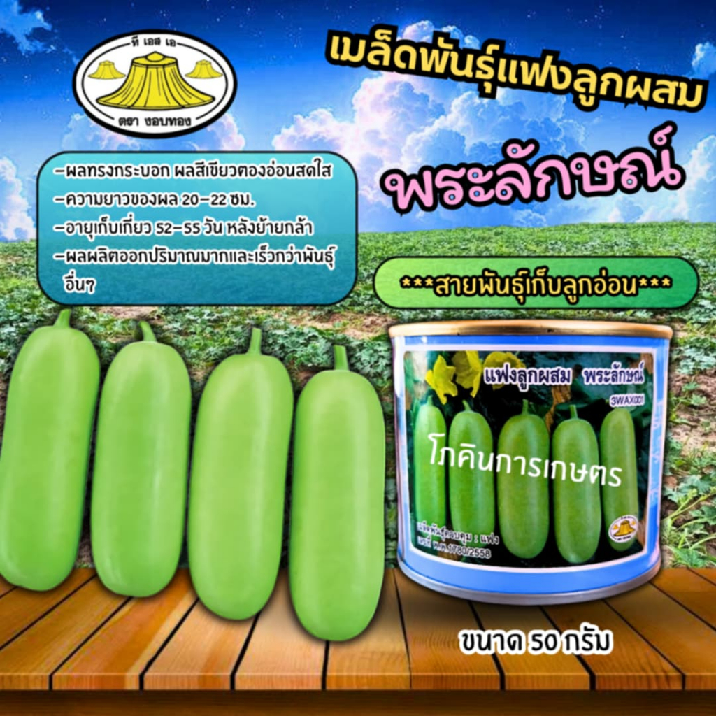 เมล็ดพันธุ์แฟงลูกผสม พระลักษณ์ (ตรางอบทอง) ขนาด 50 กรัม