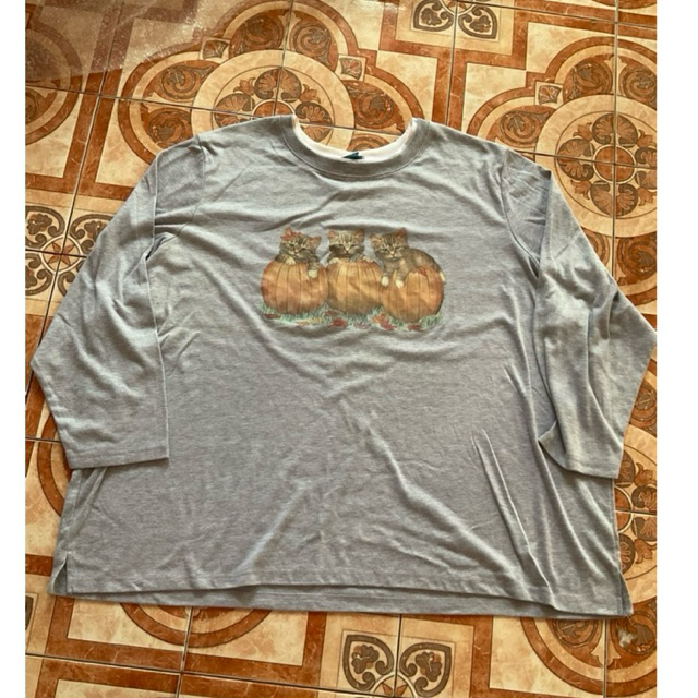 เสื้อมือสองไซส์ใหญ่[4xL]