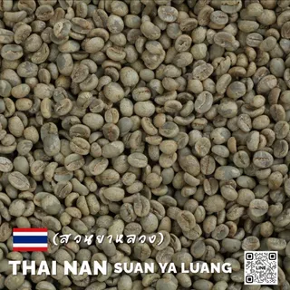 สารกาแฟไทยสวนยาหลวง จ.น่าน,Nan Suan Ya Luang -100% บรรจุ 5 - 20kg. RK.Coffeebean