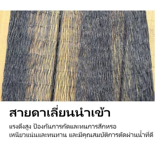 แหฝรั่ง แหจับปลา แหปลาซิว ด้ายไนล่อน ตาแหกว้าง 2เซน บานสุด 8ศอก-16ศอก ขึ้นเพลาพร้อมใช้งาน ลูกหนัก แห