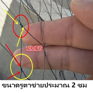 แหฝรั่ง แหจับปลา แหปลาซิว ด้ายไนล่อน ตาแหกว้าง 2เซน บานสุด 8ศอก-16ศอก ขึ้นเพลาพร้อมใช้งาน ลูกหนัก แห