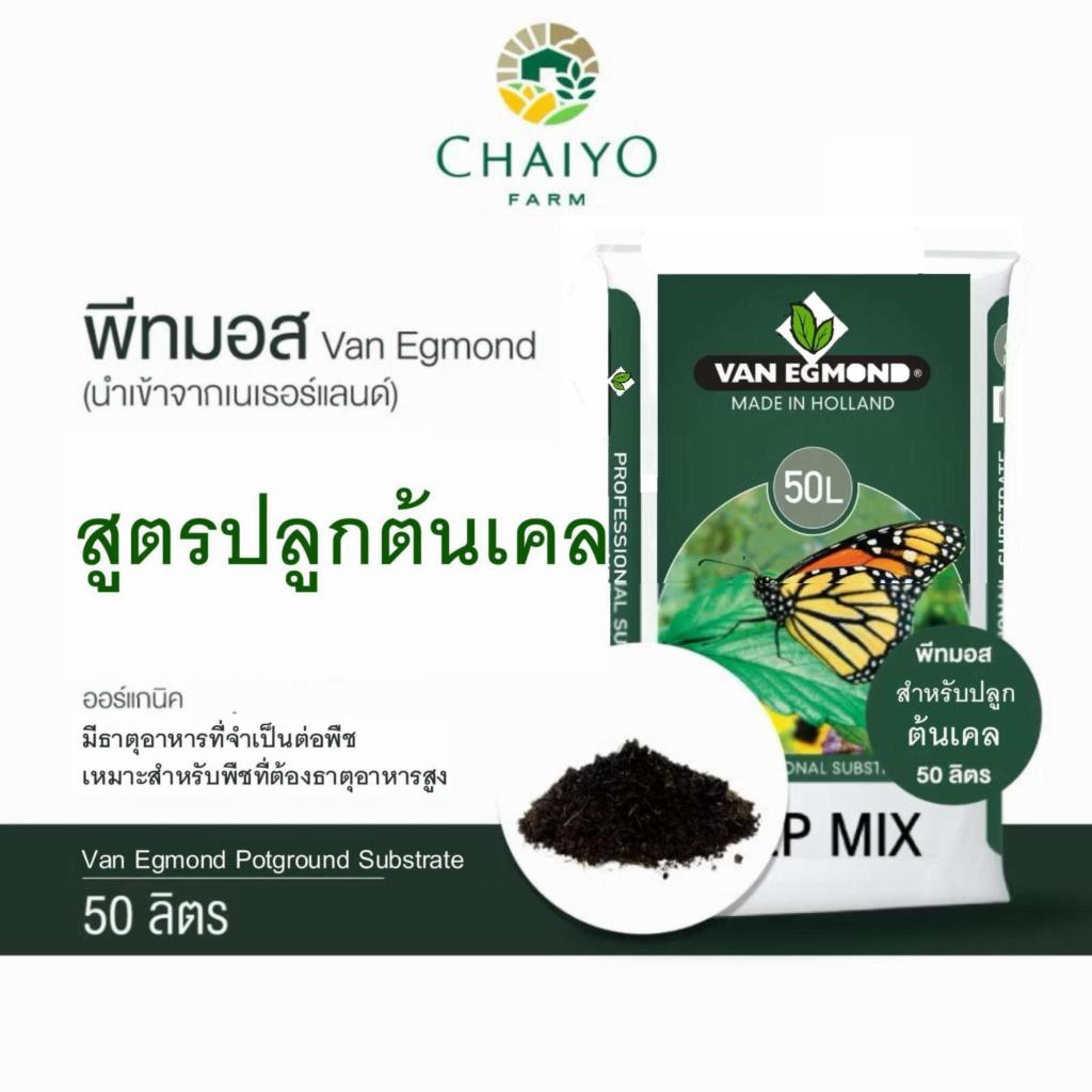 ดินปลูกเคล พีทมอส ปลูกเคล พืชที่ต้องการธาตุอาหารสูง 50 ลิตร สูตร VEP-Mix (นำเข้าเนเธอแลนด์) VAN EGMOND