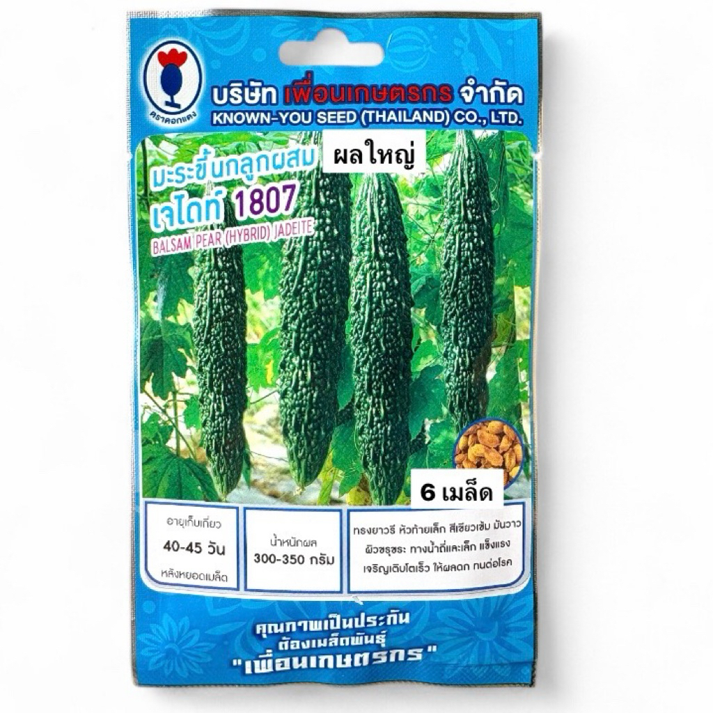 มะระขี้นก ลูกผสม ผลใหญ่ เจไดที 1807 BALSAM PEAR (HYBRID) 6 เมล็ด