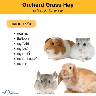 OXBOW Orchard Grass Hay หญ้าออชาร์ด 15 oz 425 กรัม สำหรับกระต่าย ล็อตใหม่ทุกถุง กลิ่นหอม (MLA-0362)