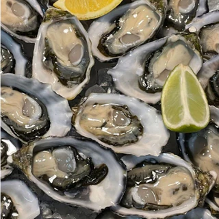Korean Oyster Frozen หอยนางรมเกาหลีแช่แข็ง