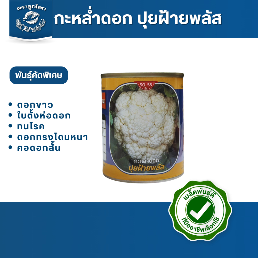ตราลูกโลก เมล็ดกะหล่ำดอก ปุยฝ้ายพลัส Cauliflower เมล็ดพันธุ์ผัก ผักสวนครัว ผักซอง ลูกโลก
