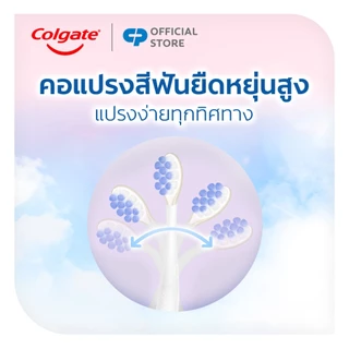[มี3แพ็คให้เลือก] แปรงสีฟัน คอลเกต เจนเทิล เซนซิทีฟ เอ็กซ์เปิร์ต