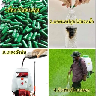 แคปซูลเขียวนาโน Nano Capsul ของแท้ 💯ใช้ได้กับพืชทุกชนิด ช่วยเร่งการเจริญเติบโต