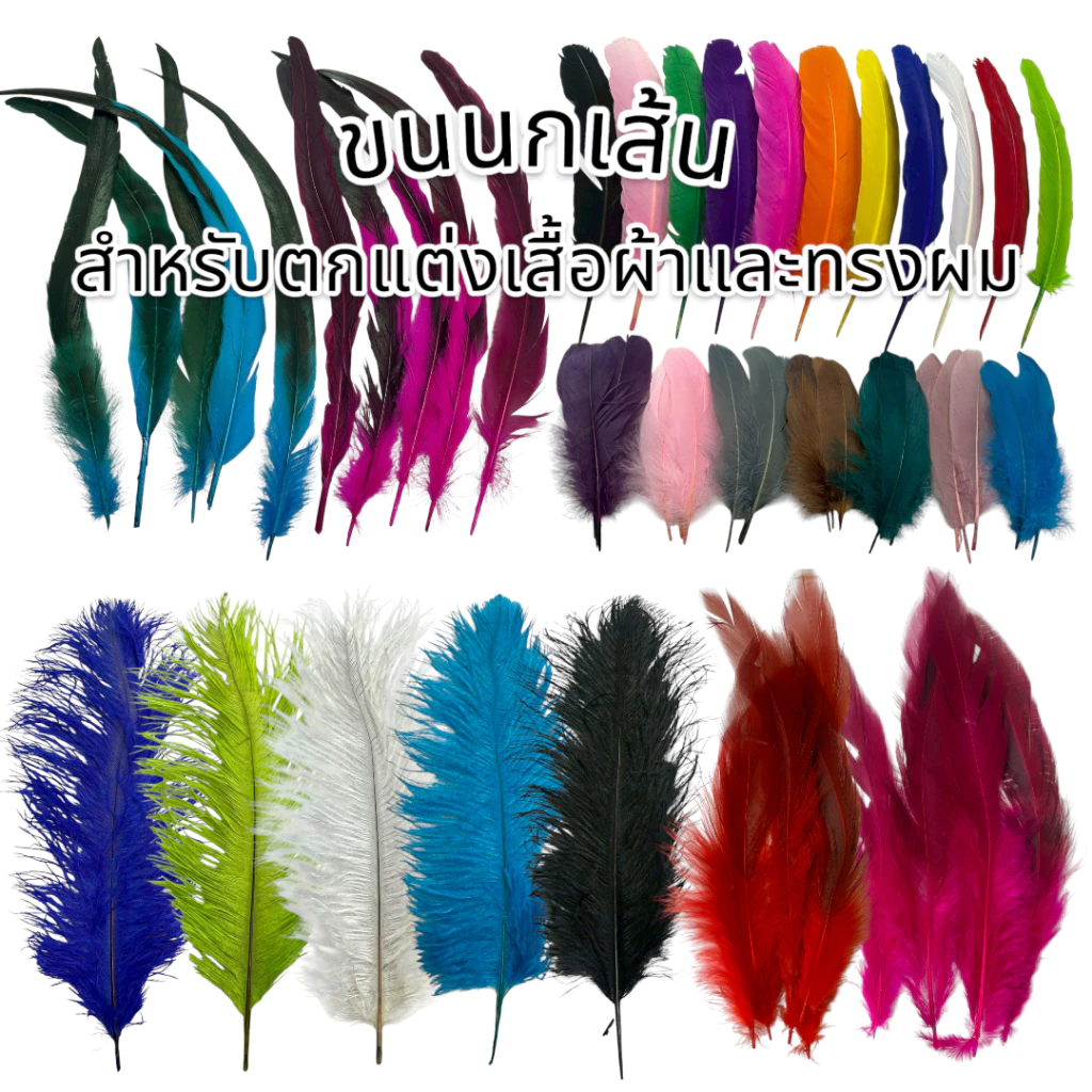 ขนนกเส้น ขนห่าน,ไก่, นกยูง สำหรับตกแต่งเสื้อผ้าและทรงผม Feathers for clothes or hair 🚚ด่วนมีส่งGrab