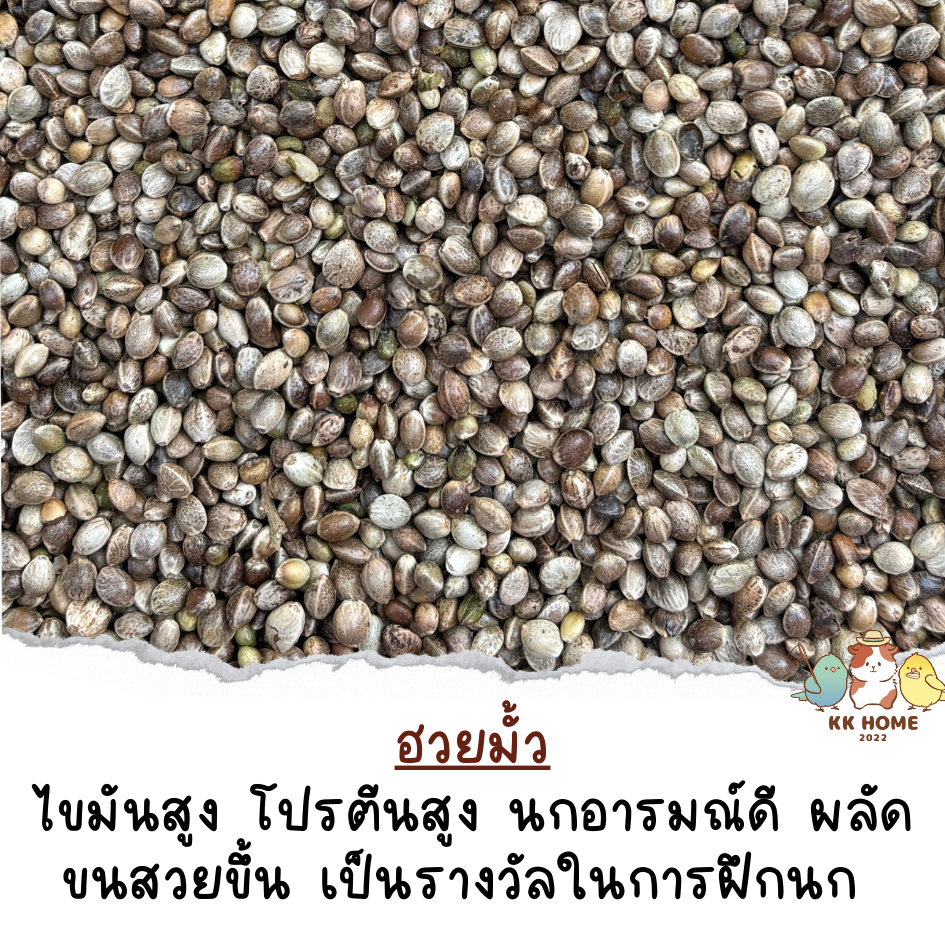 (แบ่งขาย) มั๊ว ฮวยมั้ว อาหารนก มั้ว รางวัลนก ฮวยมั๊ว ขนาด 50 กรัม กับ 100 กรัม