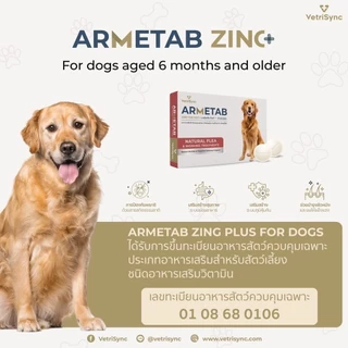 วิตามินแมว ARMETAB ZINC+ เสริมภูมิ บำรุงขน สำหรับสุนัข และ แมว 6 เดือน
