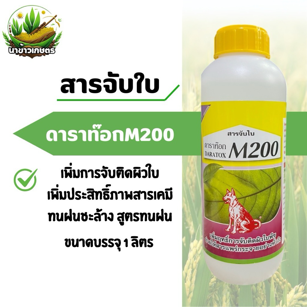 ดาราท๊อก M200 หมาแดง 1ลิตร (สารจับใบ) ช่วยเพิ่มประสิทธิภาพการจับติดผิวใบ ทนฝน