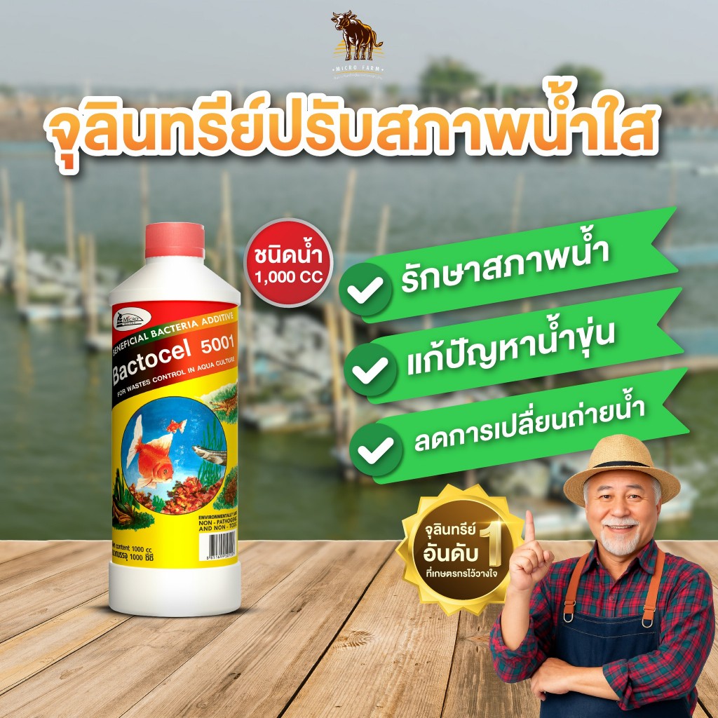 Bactocel 5001 300cc จุลินทรีย์รักษาสภาพน้ำในบ่อปลา จุลินทรีย์น้ำใส ย่อยสลายตะกอน น้ำมีกลิ่นเหม็น