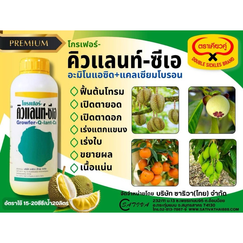 โกรเฟอร์-คิวแลนท์-ซีเอ : อะมิโนเข้มข้นจากประเทศสเปน