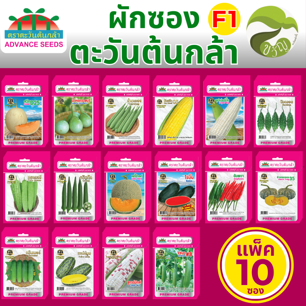 เมล็ดพันธุ์ผักซอง F1 ตราตะวันต้นกล้า  ยกแพค บรรจุ 10 ซอง  ราคาถูก ล็อตใหม่