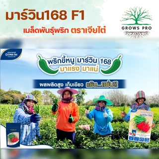 GrowsPro เมล็ดพริกพันธุ์ผสม เจียไต๋ มาร์วิน168 ขนาด 1000 เมล็ด พริกฝน ขนาด 10-12 ซม. ปลูกได้ทุกฤดู