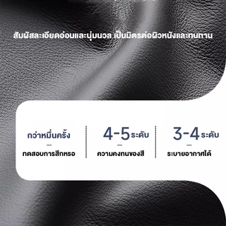 EchoCraft เก้าอี้ห้องประชุม เก้าอี้สำนักงาน ตามหลักสรีรศาสตร์ นั่งสบายแม้ในระยะเวลานาน ขาเก้าอี้รูปโค้งโลหะหนา