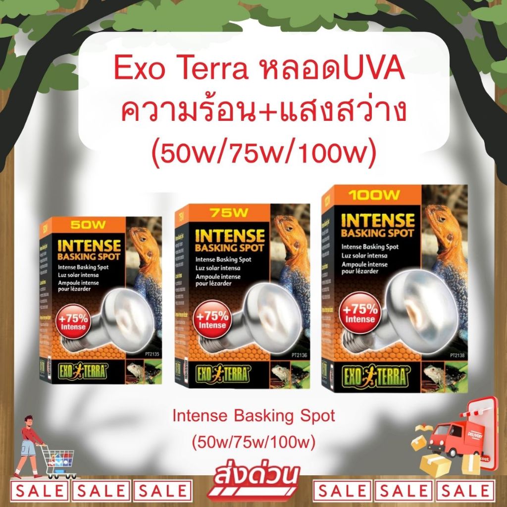 *ส่งไว* Exo Terra Intense Basking Spot หลอดไฟ UVA ให้ความร้อน+แสงสว่าง สำหรับกกไฟกลางวัน