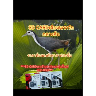 เสียงเสียงนกกวักกลางคืน SD CARD MEMORY CARD