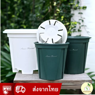 กระถางพลาสติก พร้อมถาดรอง ระบายน้ำได้ดี รุ่นหนา ทรงสวย
